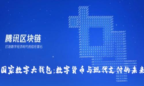 国家数字大钱包：数字货币与现代支付的未来