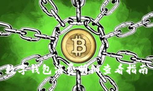 数字钱包消费明细查看指南