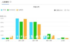 全面解析OKPay钱包：数字货
