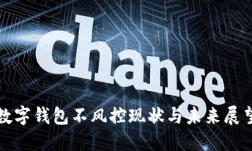 数字钱包不风控现状与未来展望