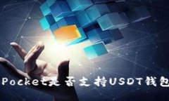 TokenPocket是否支持USDT钱包