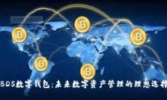 BDS数字钱包：未来数字资