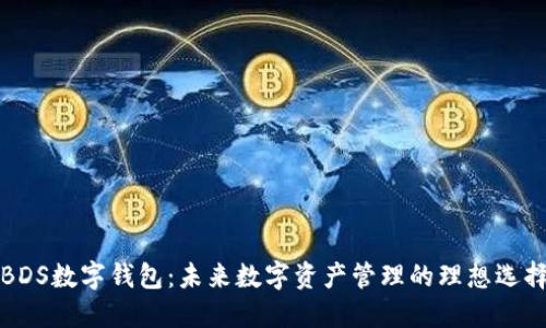 BDS数字钱包：未来数字资产管理的理想选择