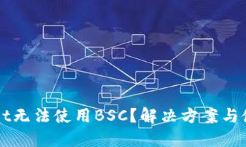 TPWallet无法使用BSC？解决方案与使用指南