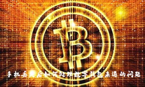 手机丢失后如何处理数字钱包未退的问题