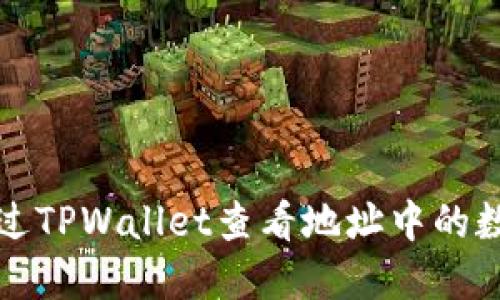 如何通过TPWallet查看地址中的数字资产