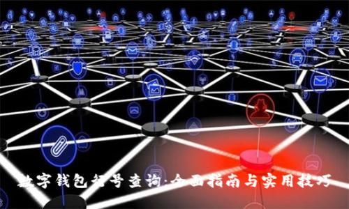 数字钱包行号查询：全面指南与实用技巧