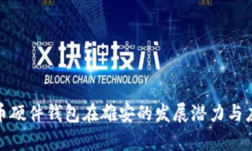 数字货币硬件钱包在雄安的发展潜力与应用前景
