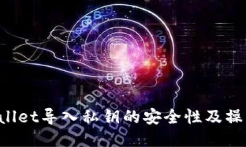  TPWallet导入私钥的安全性及操作指南