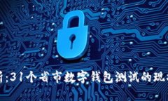 全面解析：31个省市数字钱