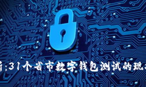 全面解析：31个省市数字钱包测试的现状与未来