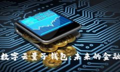 中国数字云量子钱包：未