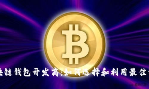 区块链钱包开发商：如何选择和利用最佳资源