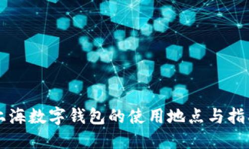 上海数字钱包的使用地点与指南
