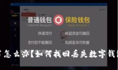 数字钱包丢了怎么办？如