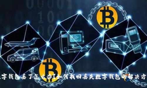 数字钱包丢了怎么办？如何找回丢失数字钱包的解决方案