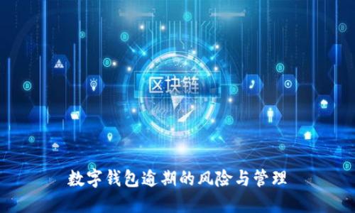 数字钱包逾期的风险与管理