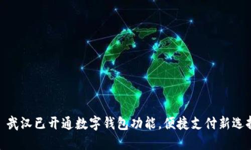 : 武汉已开通数字钱包功能，便捷支付新选择