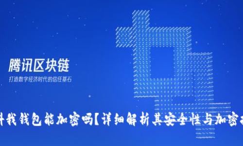 抖抖我钱包能加密吗？详细解析其安全性与加密技术
