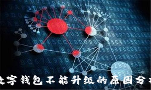 数字钱包不能升级的原因分析