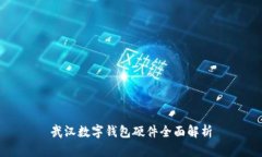 武汉数字钱包硬件全面解