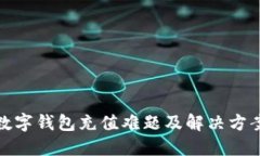 数字钱包充值难题及解决