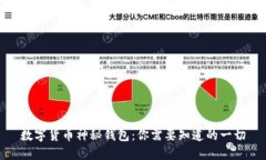 数字货币神秘钱包：你需
