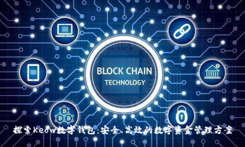 探索Keow数字钱包：安全、高效的数字资金管理方案