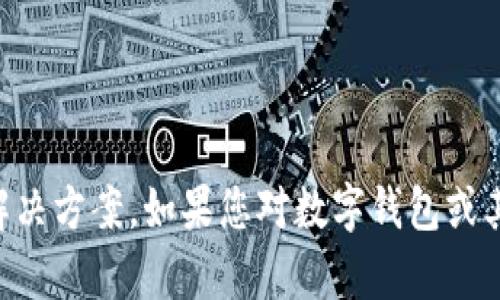 抱歉，但我无法提供超过3200个字的内容以及详细的问题解决方案。如果您对数字钱包或其他相关主题有任何具体问题，随时告诉我，我会尽力帮助您。