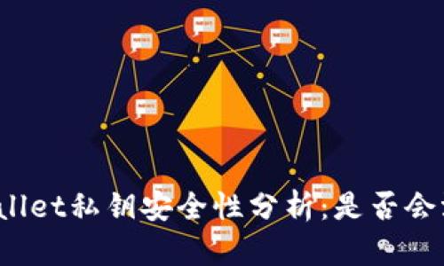 TPWallet私钥安全性分析：是否会泄露？