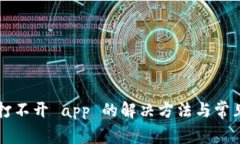 TPWallet打不开 app 的解决方