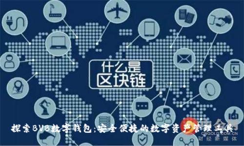 探索BVB数字钱包：安全便捷的数字资产管理工具