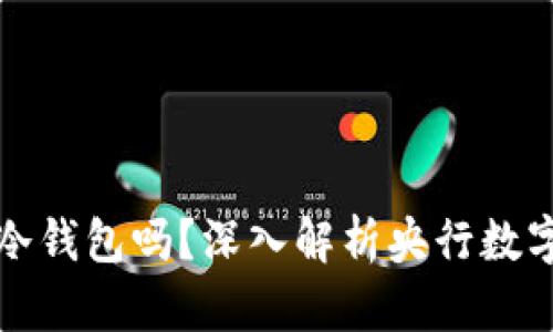 央行数字钱包是冷钱包吗？深入解析央行数字货币的存储方式