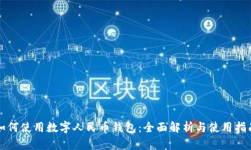 如何使用数字人民币钱包：全面解析与使用指南