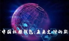 数字中国虹膜钱包：未来