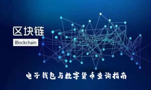 电子钱包与数字货币查询指南