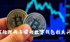 如何处理两年前的数字钱包挂失问题？
