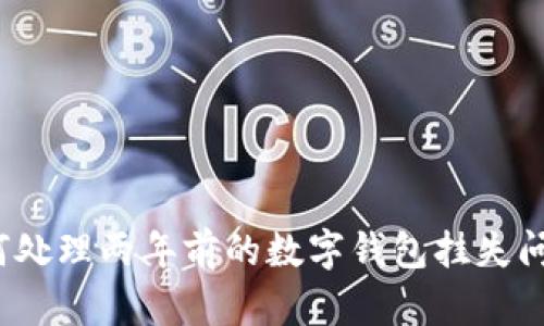 如何处理两年前的数字钱包挂失问题？