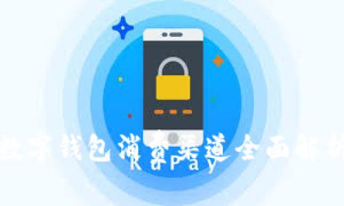 数字钱包消费渠道全面解析