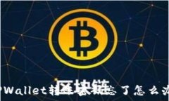   TPWallet转账密码忘了怎么