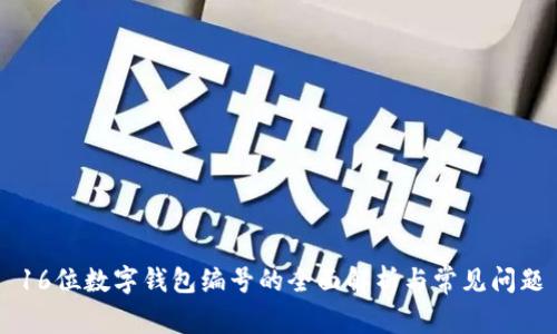 16位数字钱包编号的全面解析与常见问题