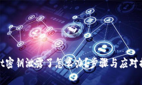 tpwallet密钥泄露了怎么办？步骤与应对措施详解