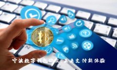 宁波数字钱包欧文：未来