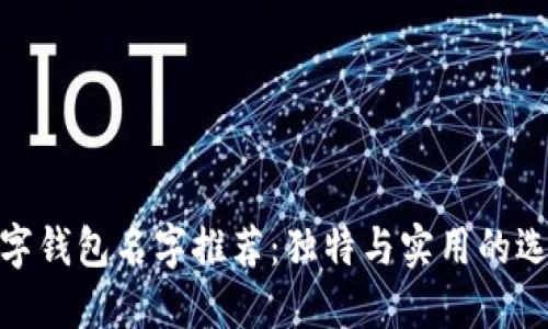 数字钱包名字推荐：独特与实用的选择