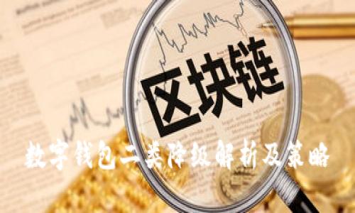 数字钱包二类降级解析及策略