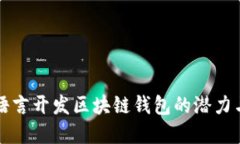: Go语言开发区块链钱包的