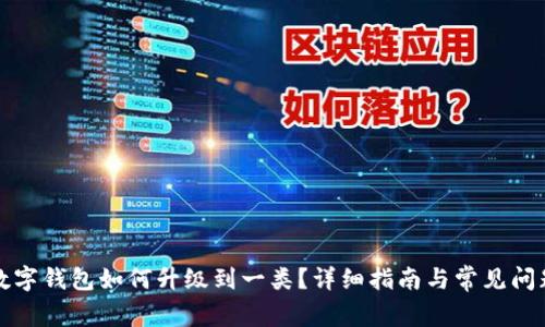 邮政数字钱包如何升级到一类？详细指南与常见问题解答