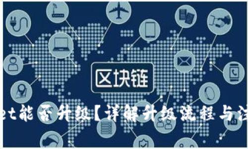 TPWallet能否升级？详解升级流程与注意事项