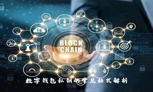 数字钱包私钥的常见格式解析