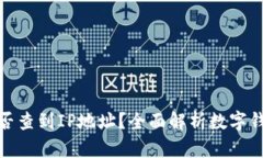 数字钱包能否查到IP地址？